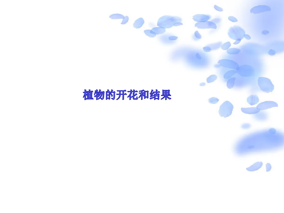18060225第1页