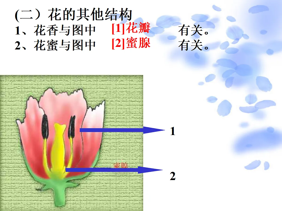 18060225第8页