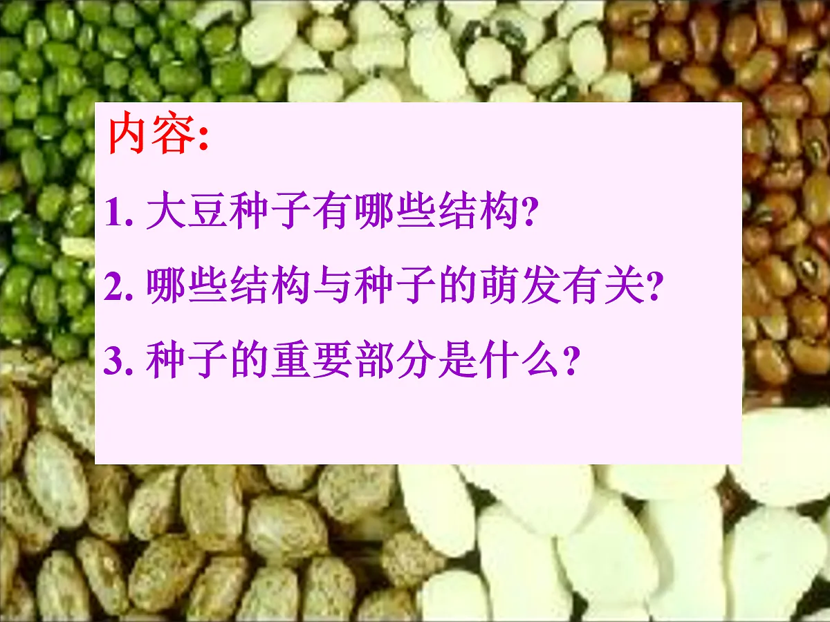 18060227第7页