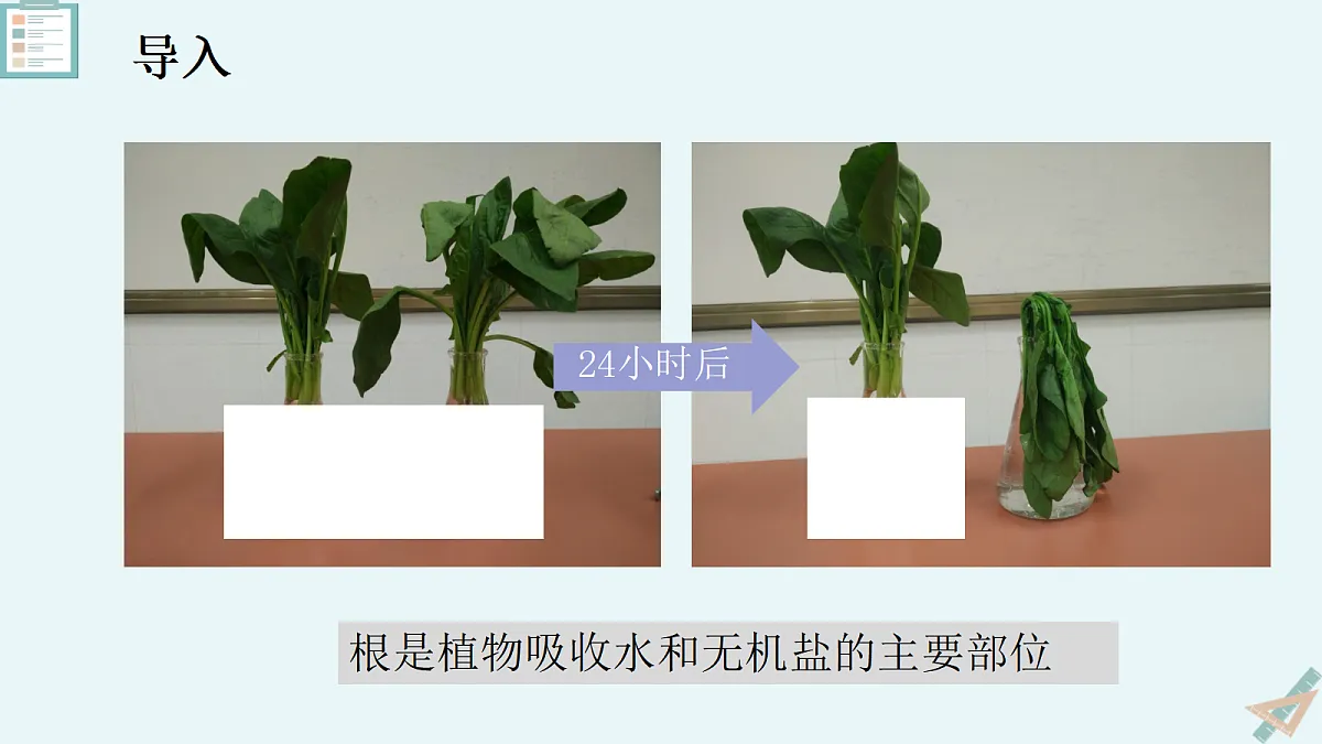 18060240第6页