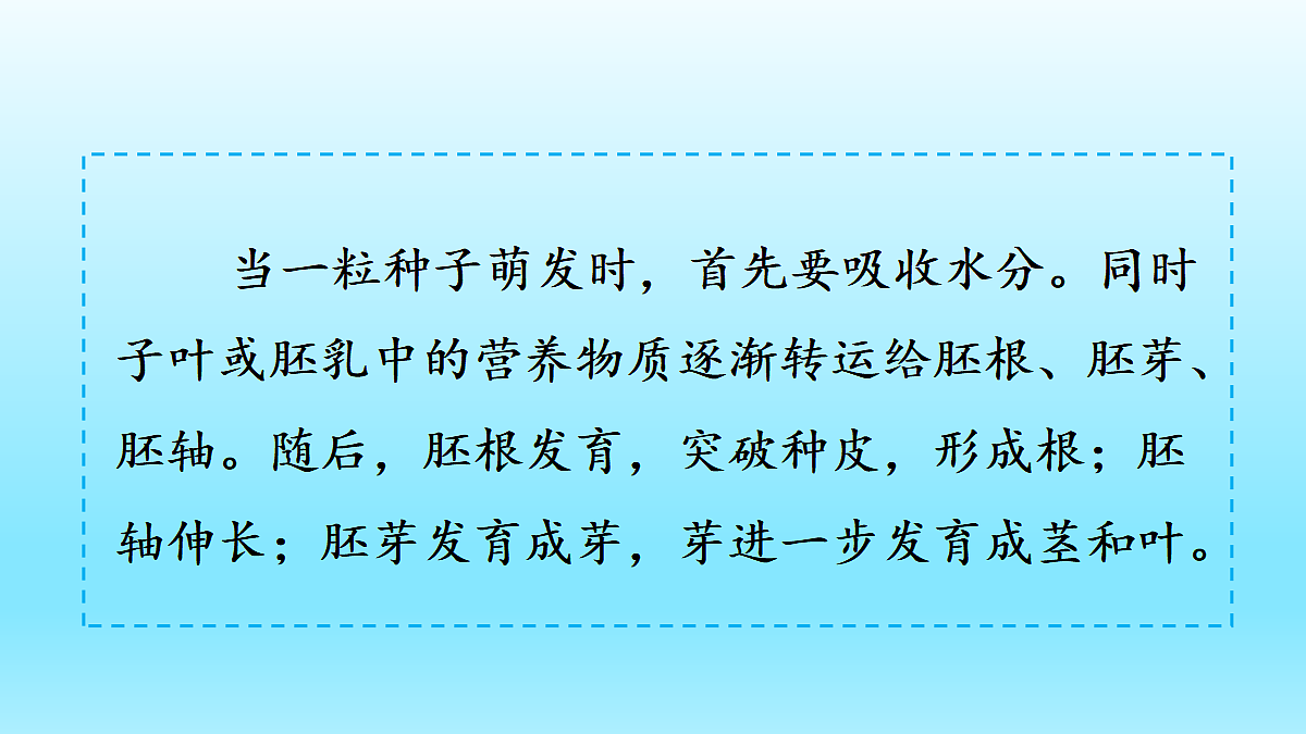 18060247第8页