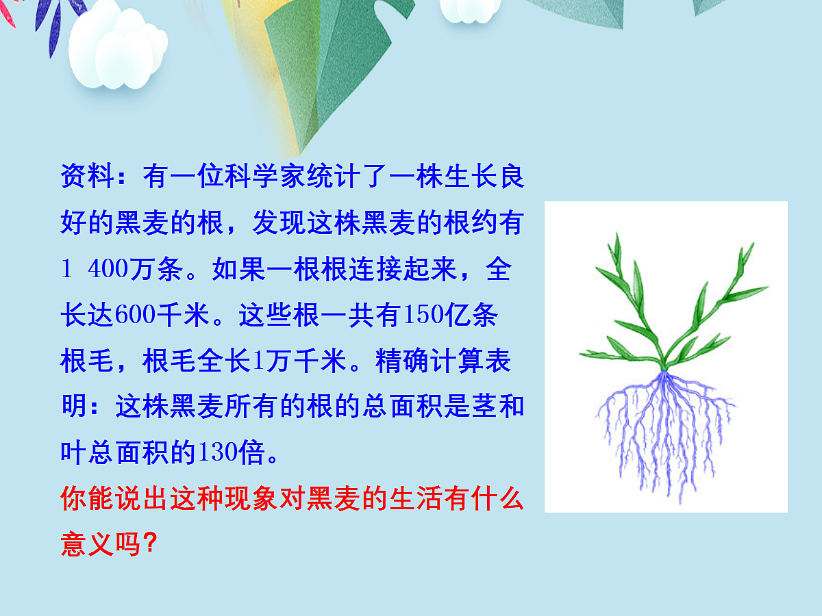 18060248第3页