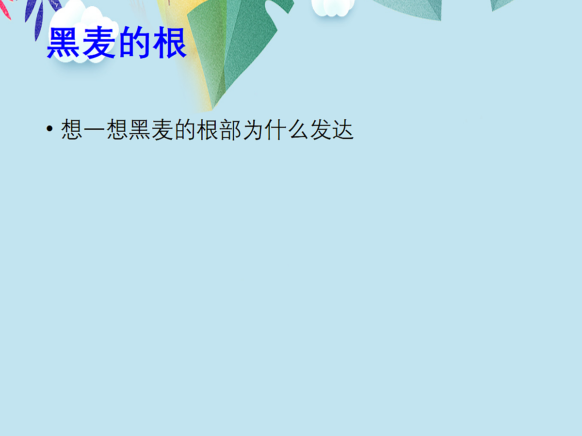 18060248第4页