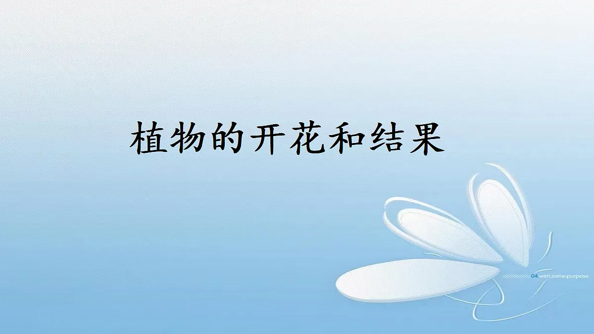 18060251第1页