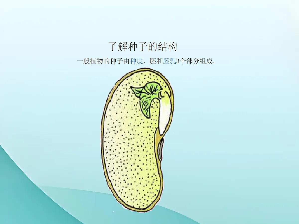18060253第4页