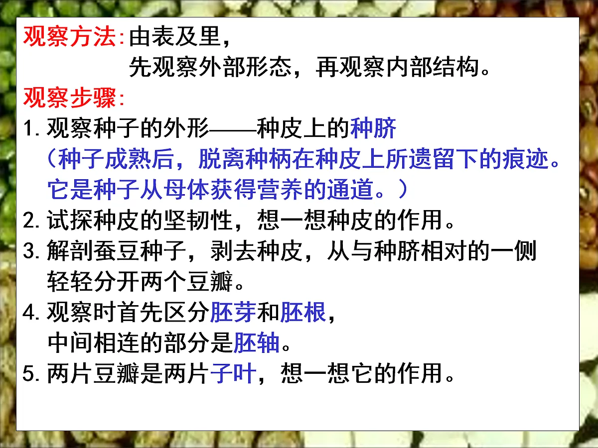 18060253第6页