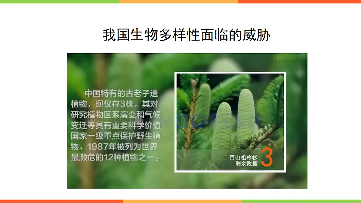 18060274第4页