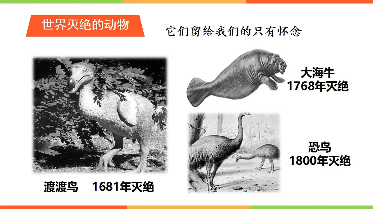 18060274第8页