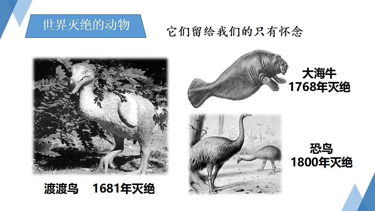 18060278第4页