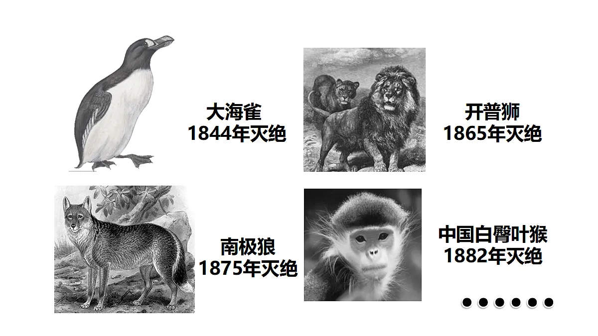 18060278第5页