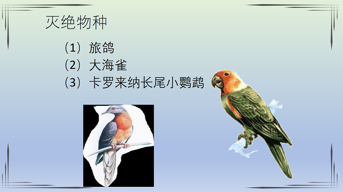 18060286第7页