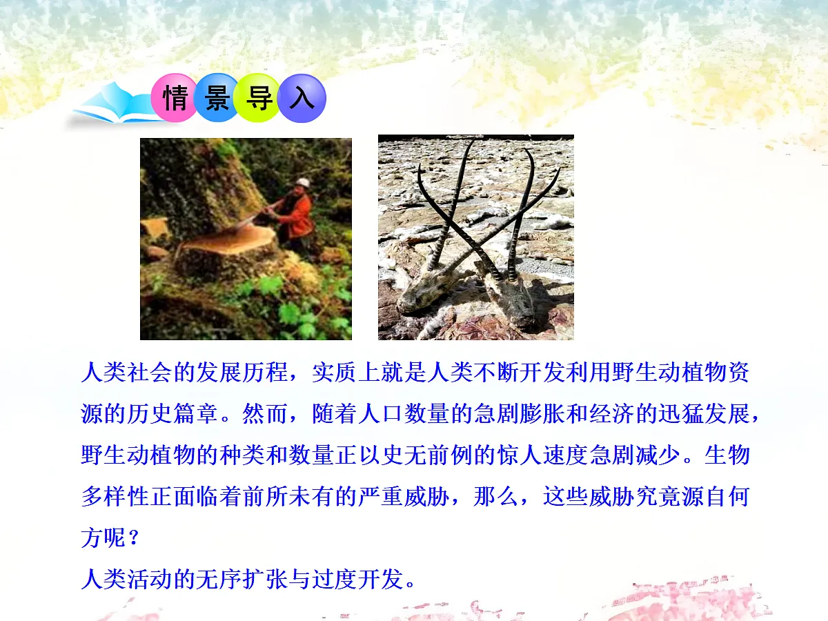 18060289第4页