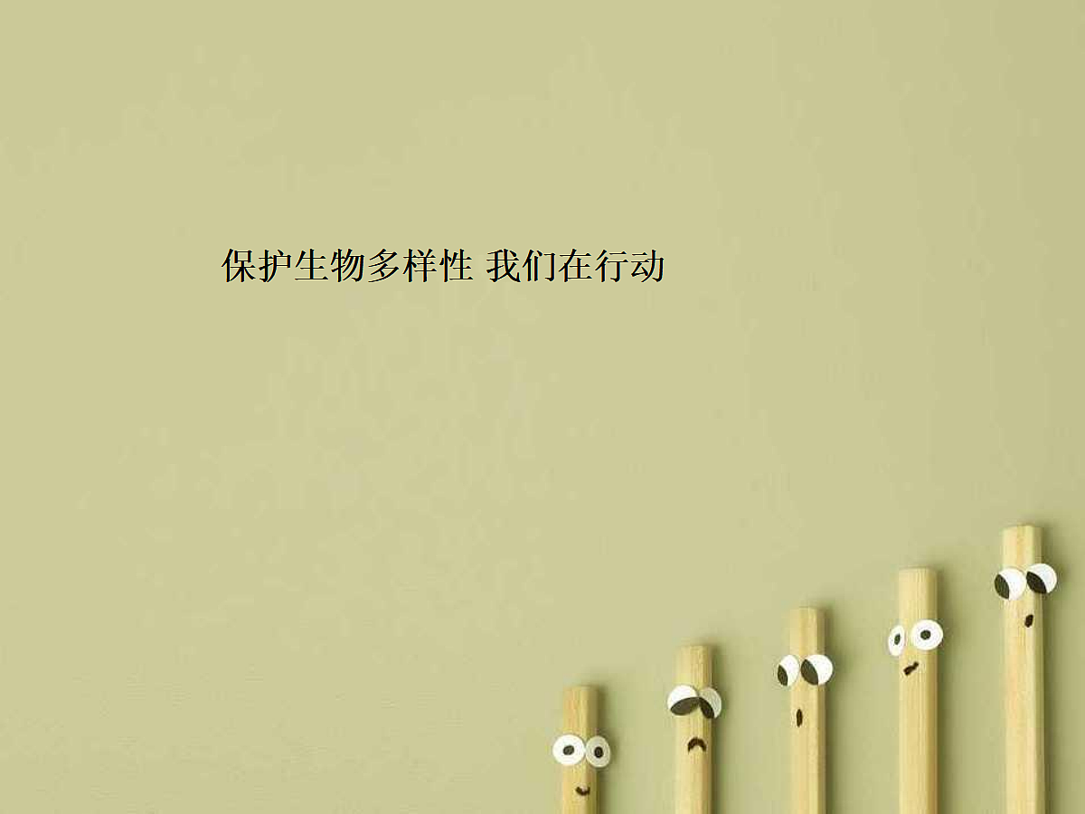 18060293第1页