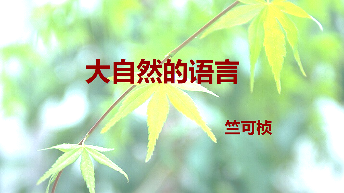 18061288第1页