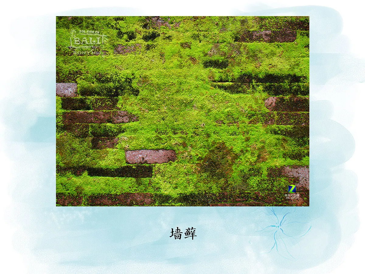 18061782第5页