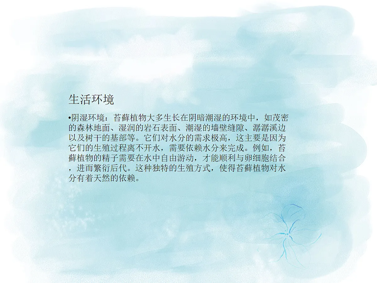 18061782第6页