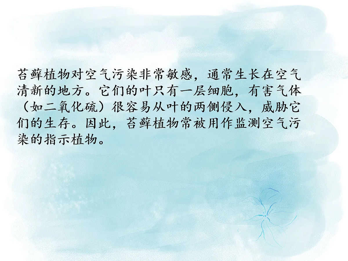 18061782第8页