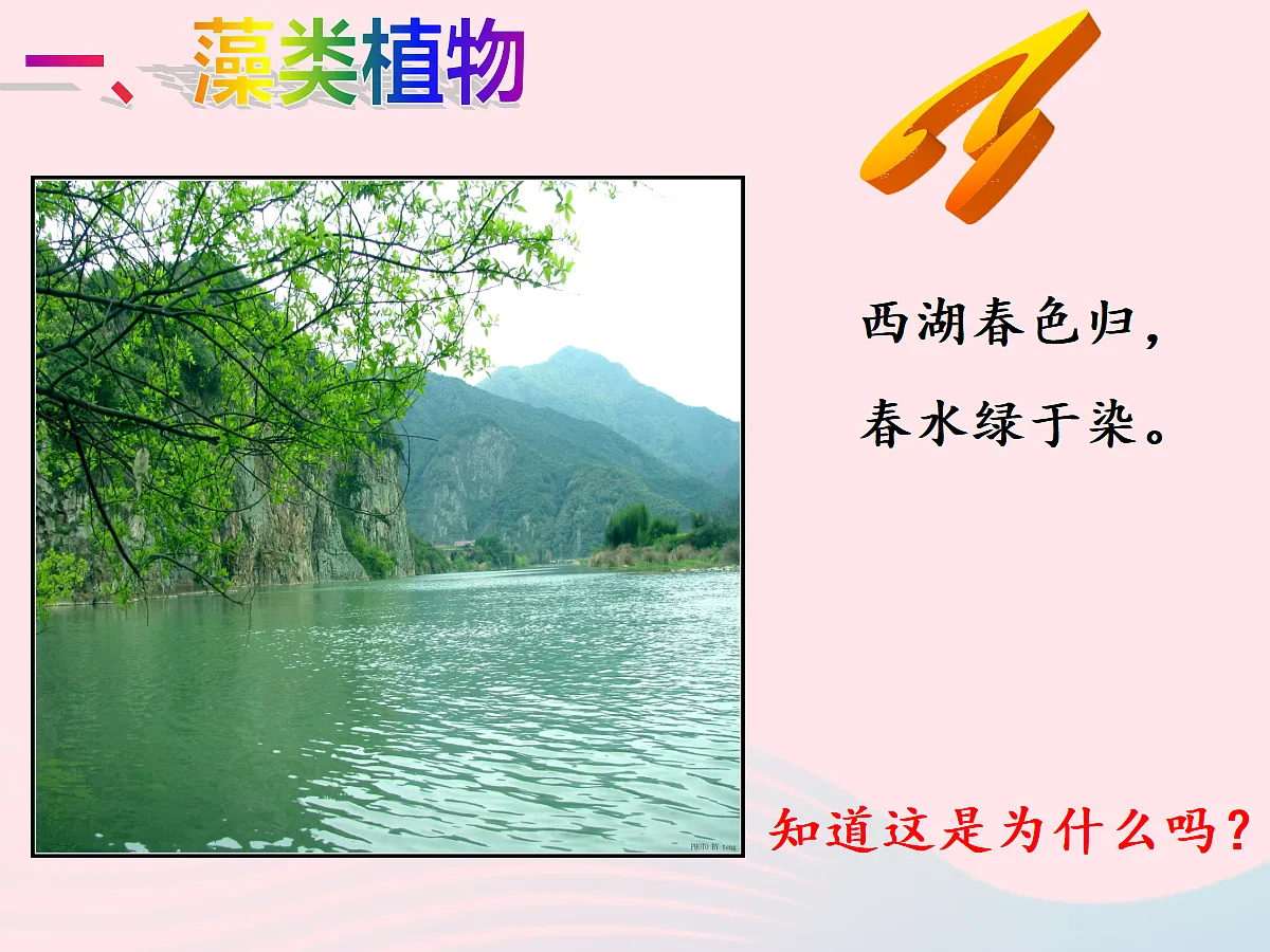 18061848第3页
