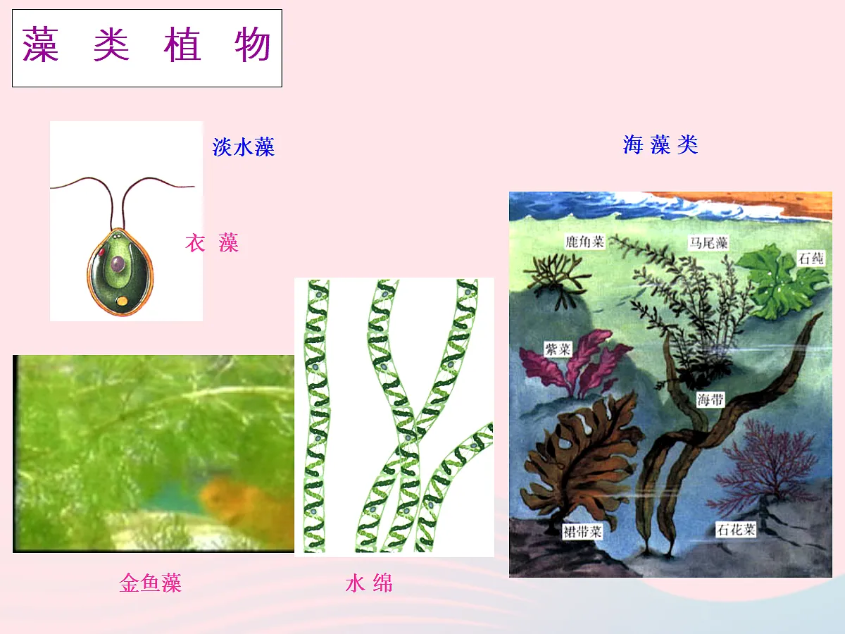 18061848第6页