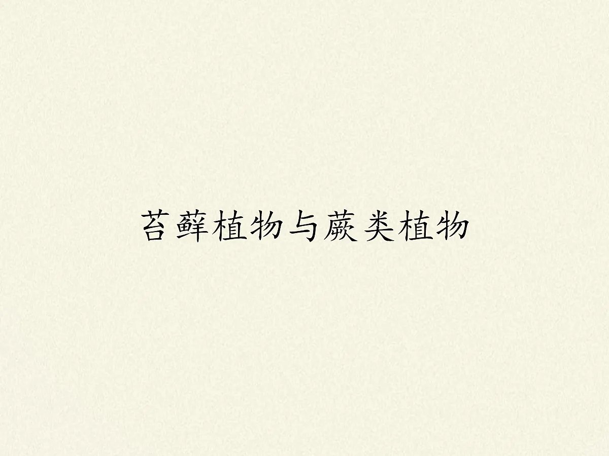 18061849第1页
