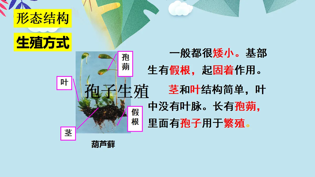 18061850第8页
