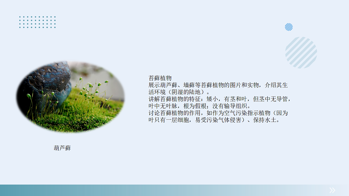 18061853第4页