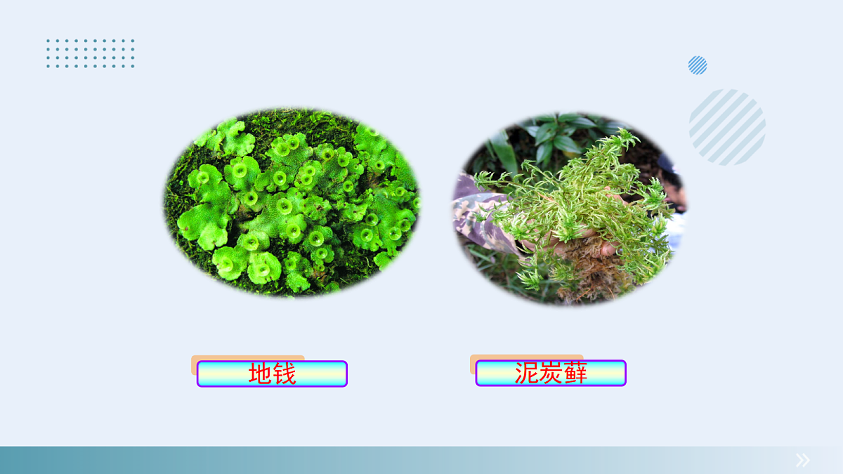 18061853第7页