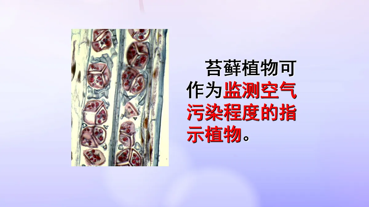 18061858第7页