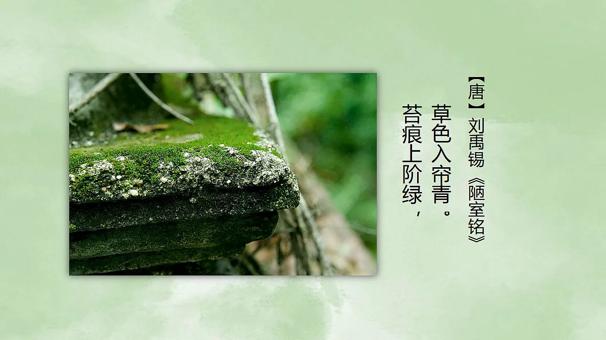 18061859第3页