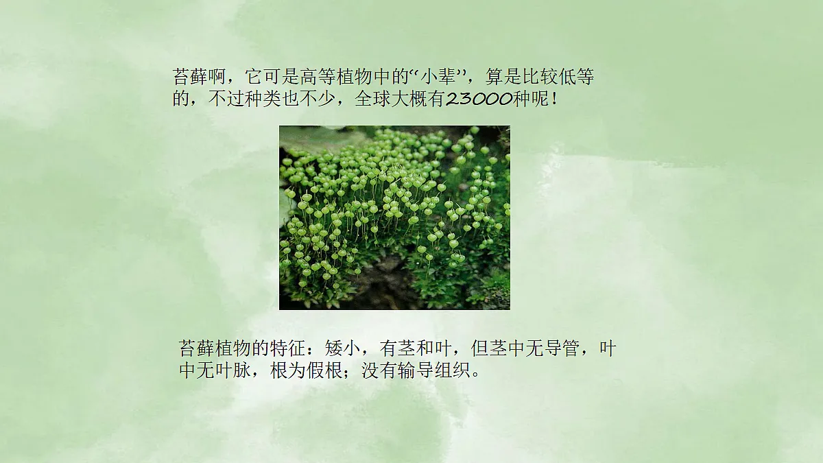 18061859第4页