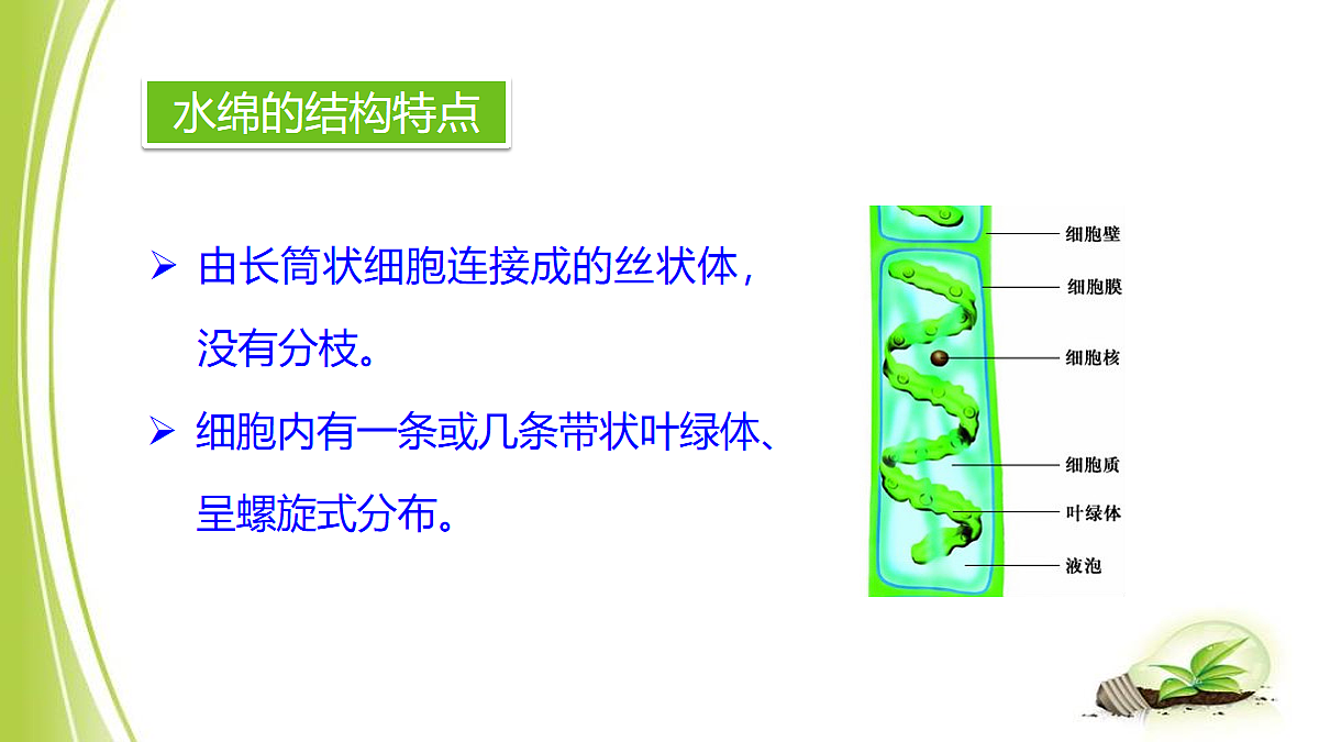 18061861第7页