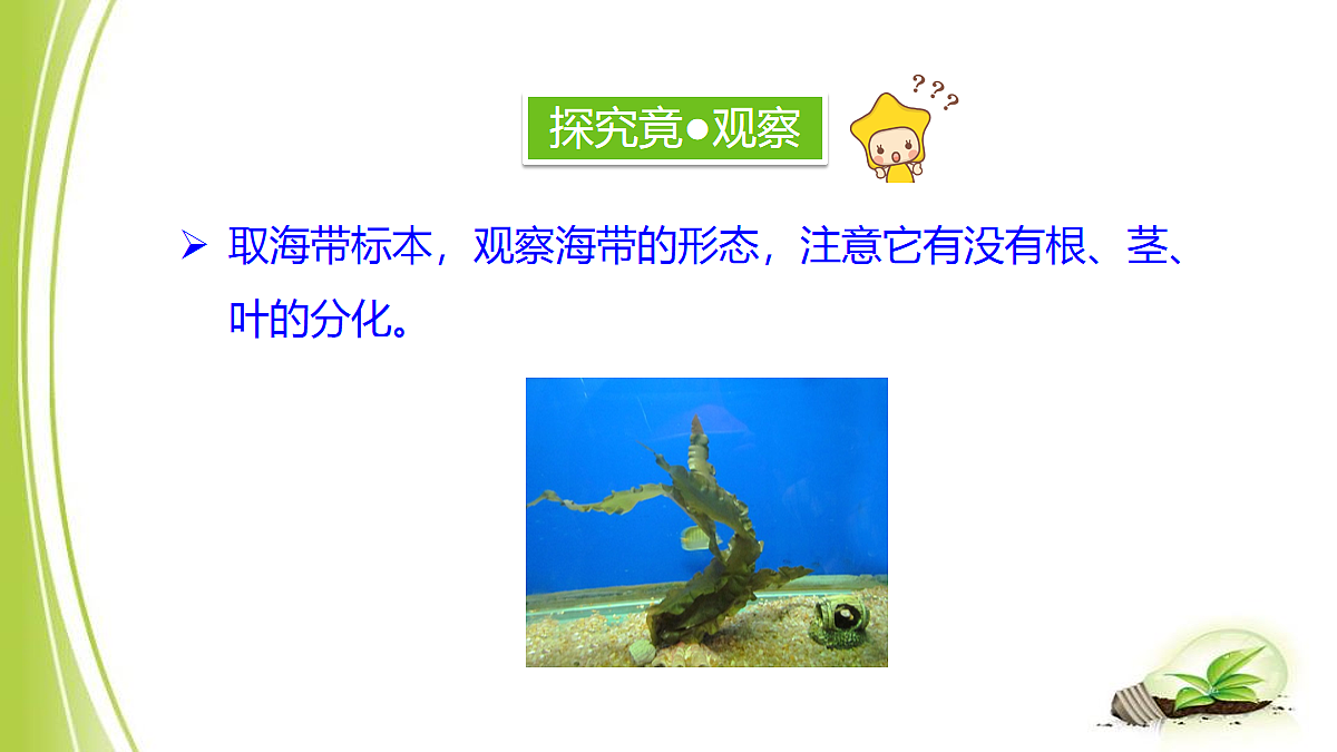18061861第8页