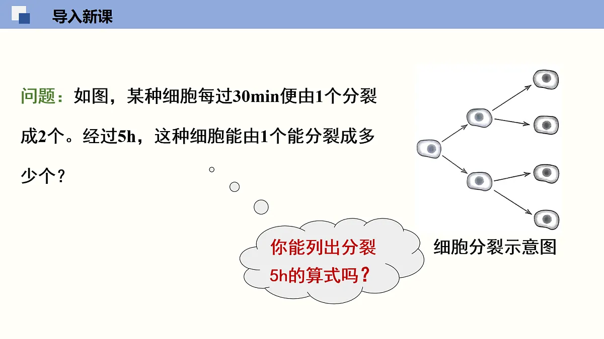 18064809第4页