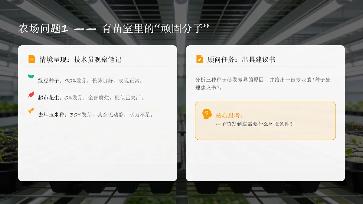 18065084第5页