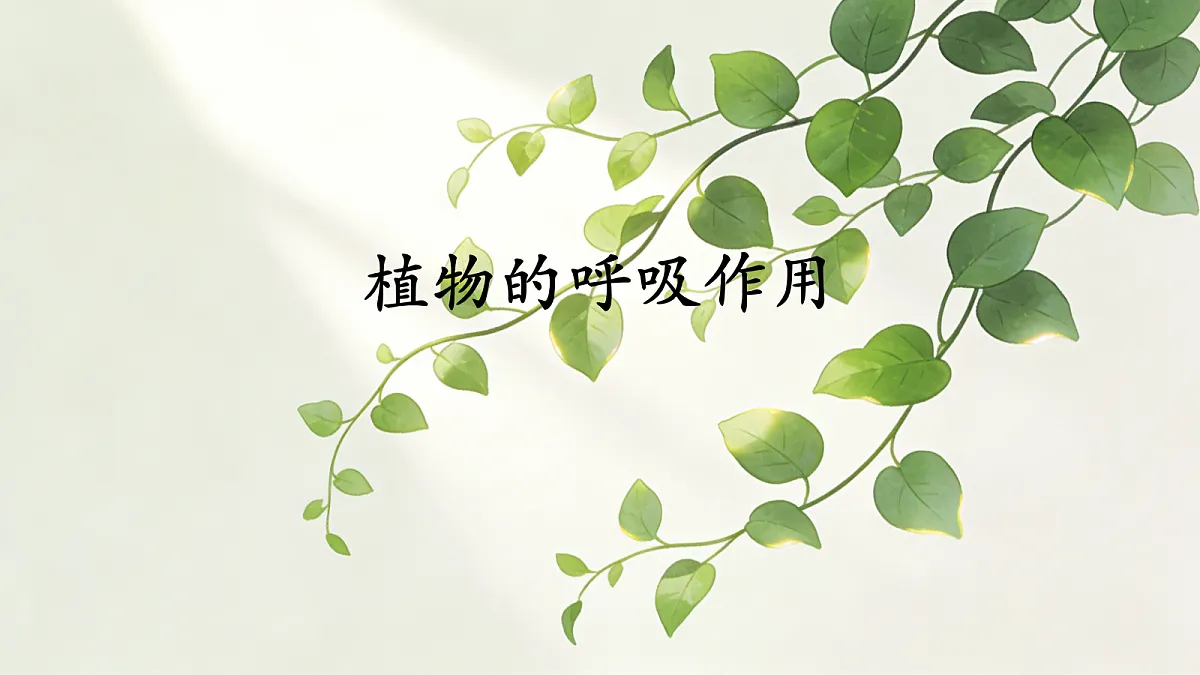 18065085第1页