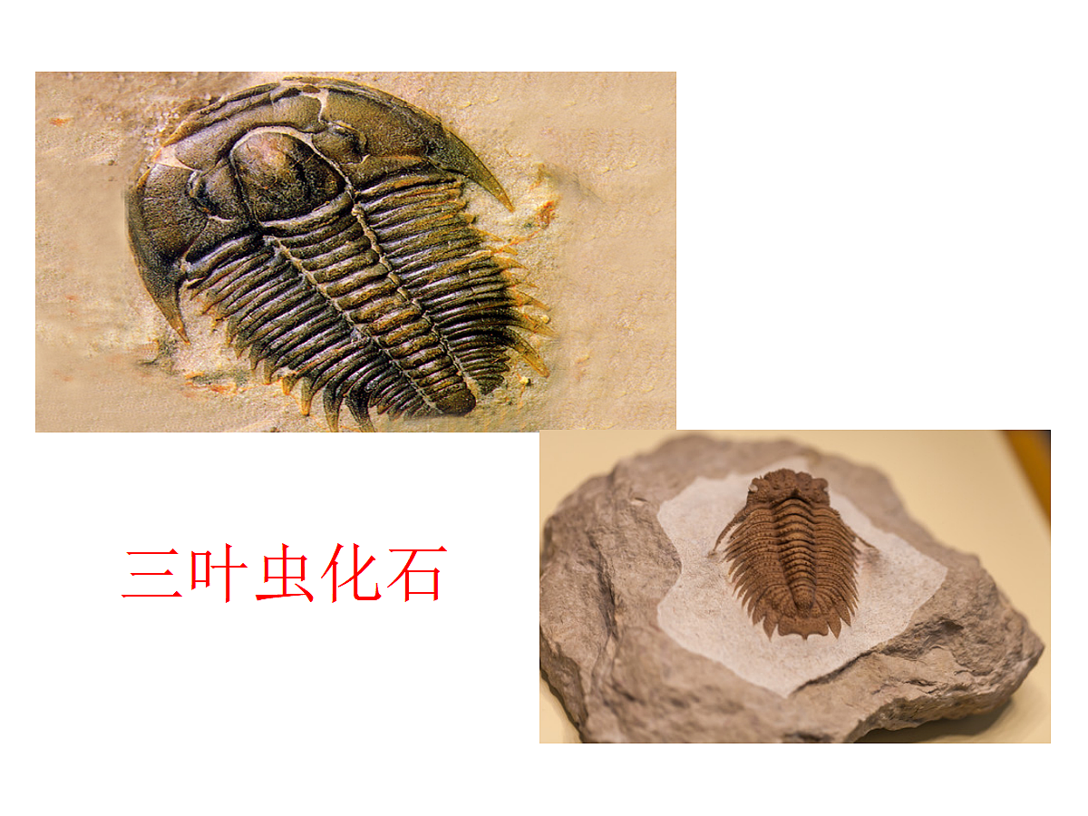 18065142第4页