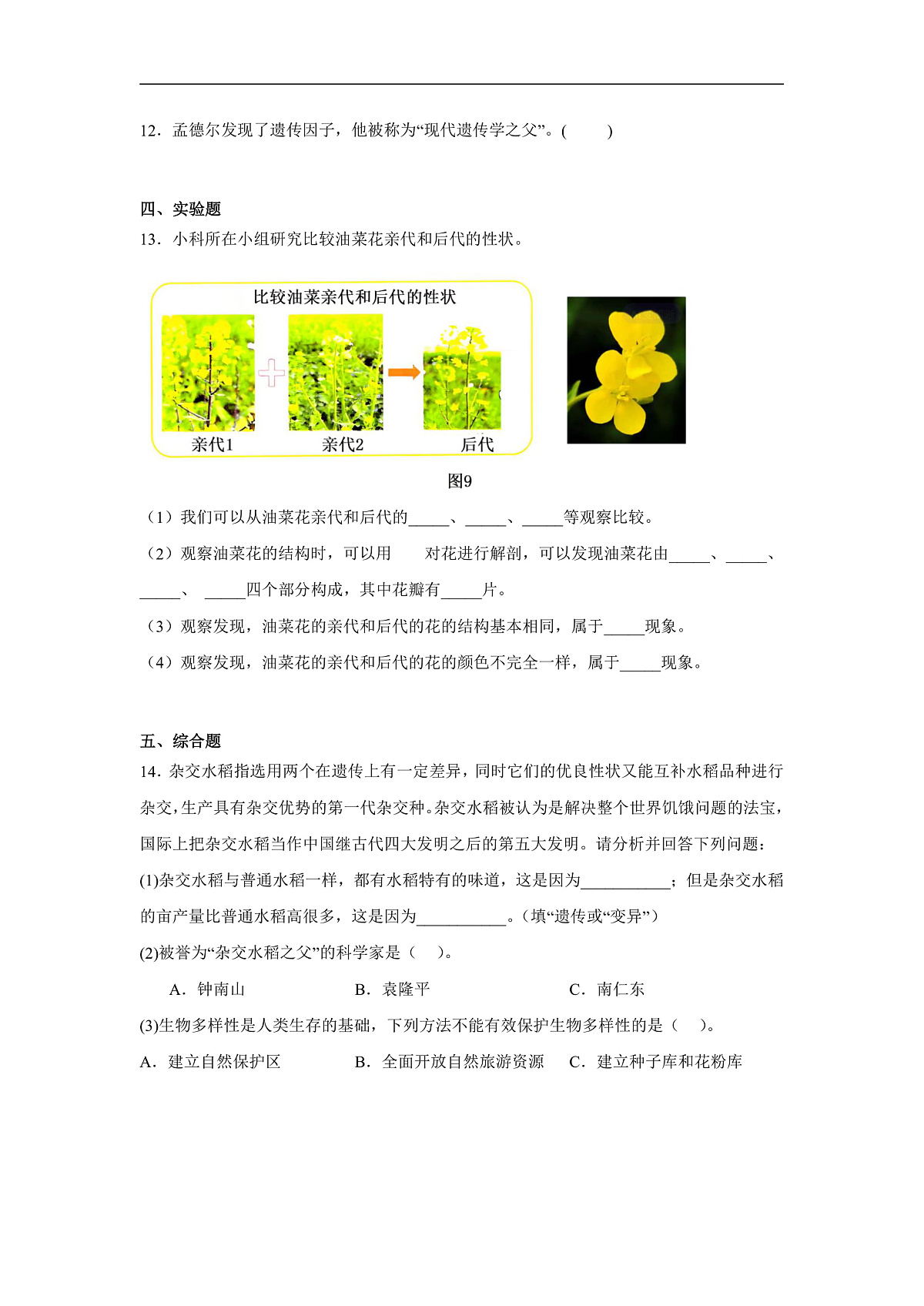 教科版六年级下册科学《形形色色的植物》一课一练(含答案)第2页