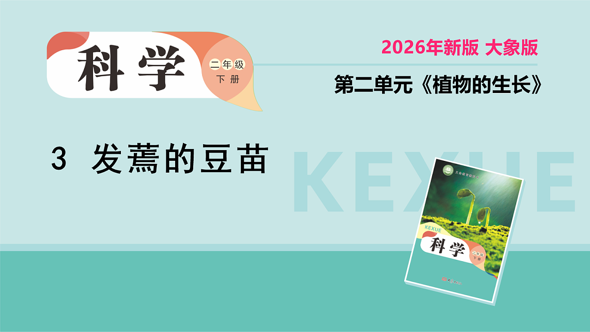 18066402第1页