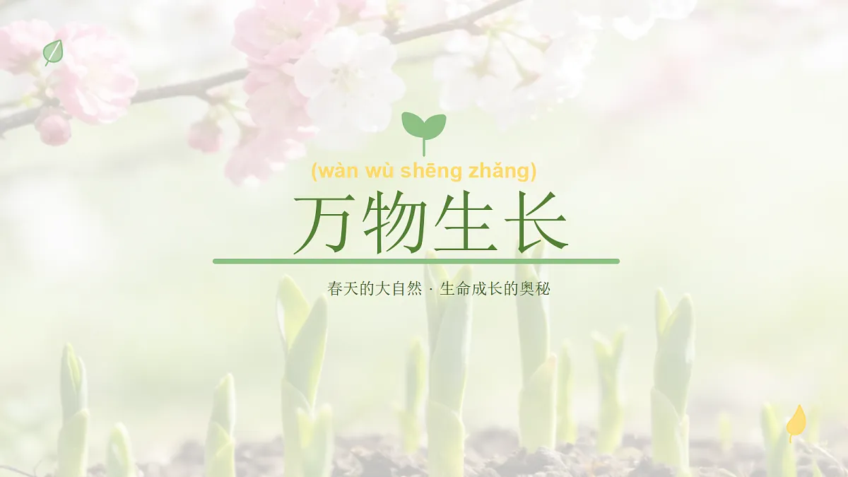 《万物生长》教学课件第1页