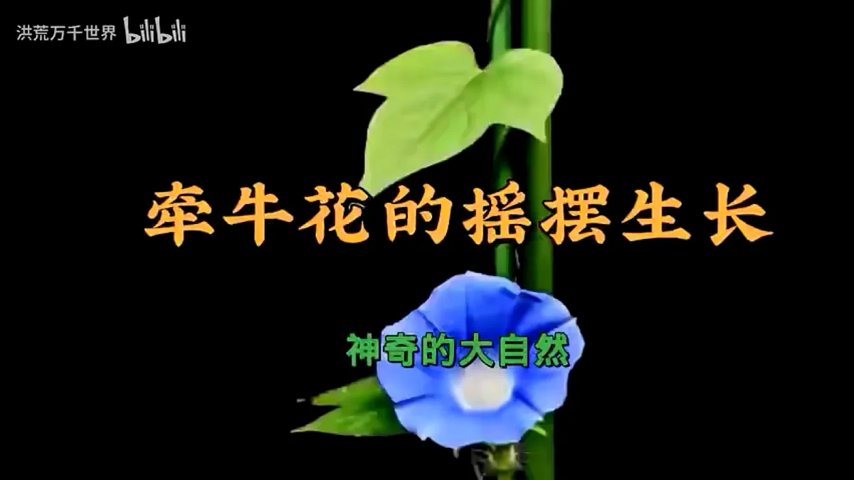 《万物生长》教学课件第3页