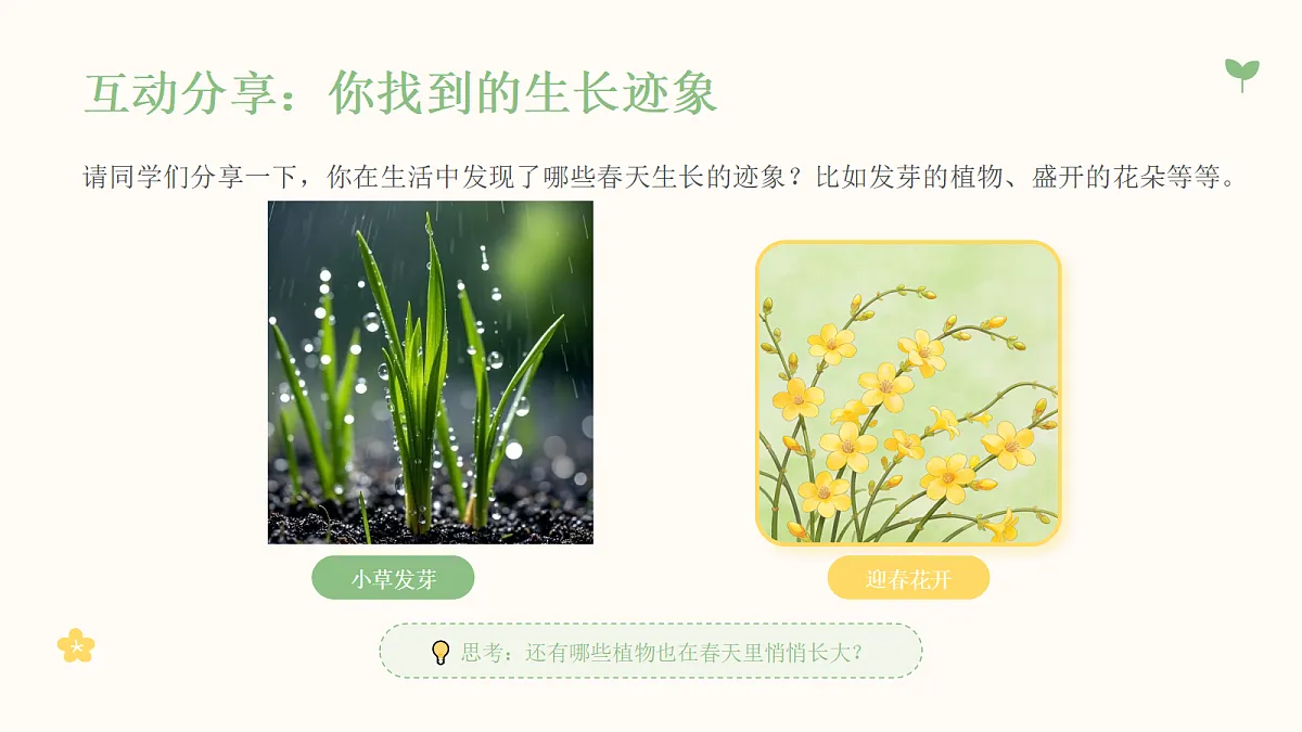 《万物生长》教学课件第5页