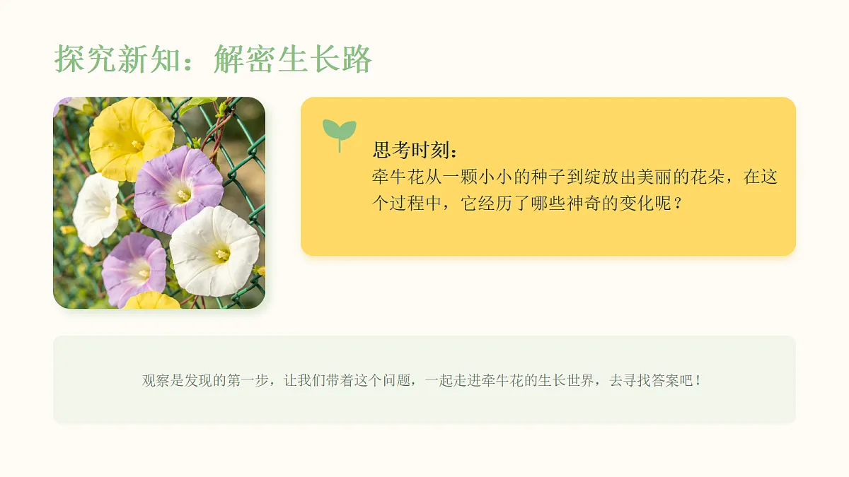 《万物生长》教学课件第7页