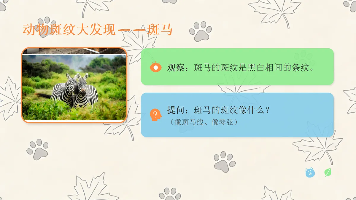 《动物的斑纹》美术教学课件第4页