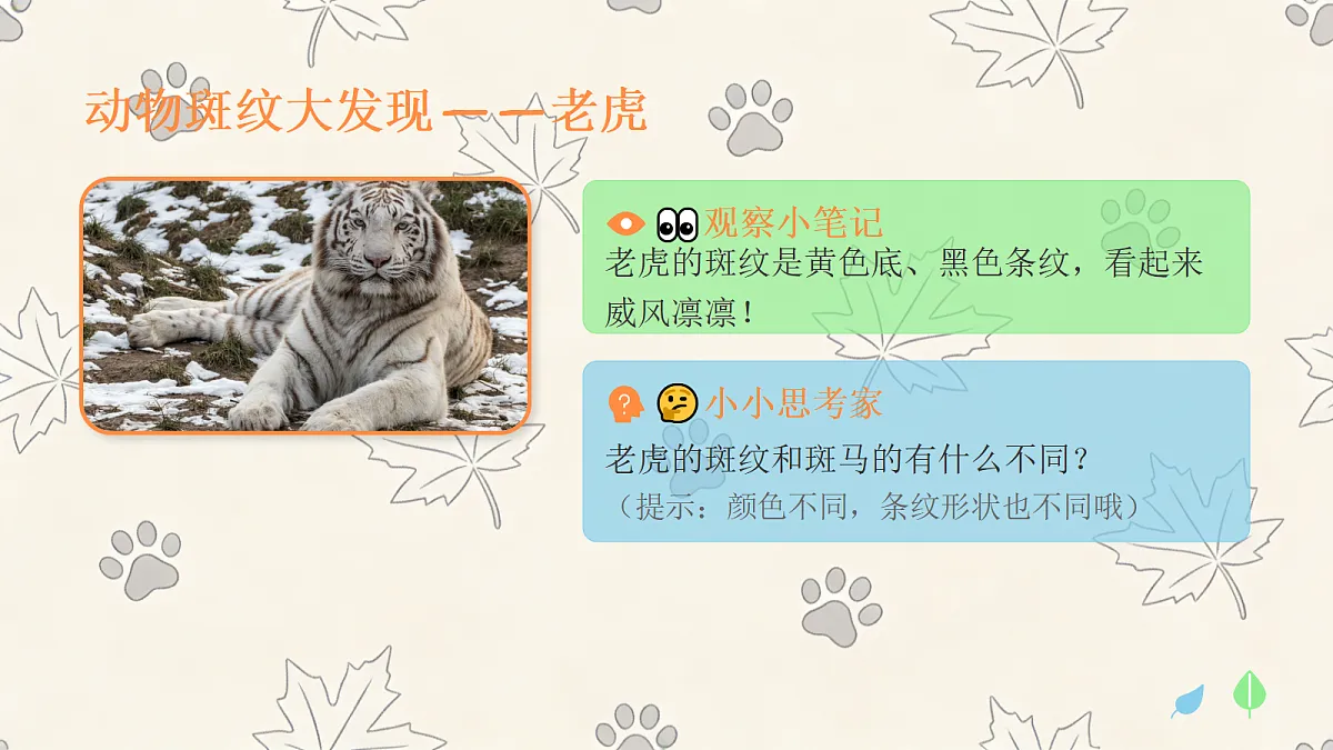 《动物的斑纹》美术教学课件第5页