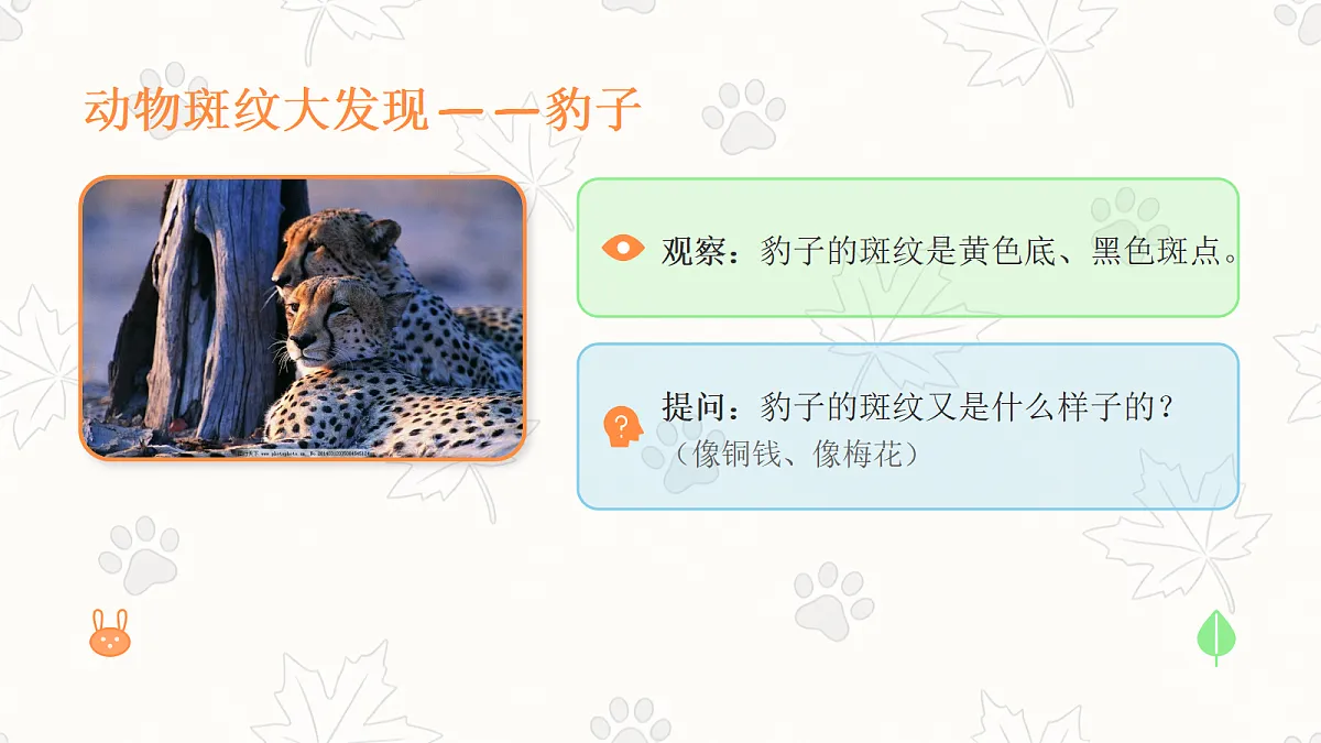 《动物的斑纹》美术教学课件第6页