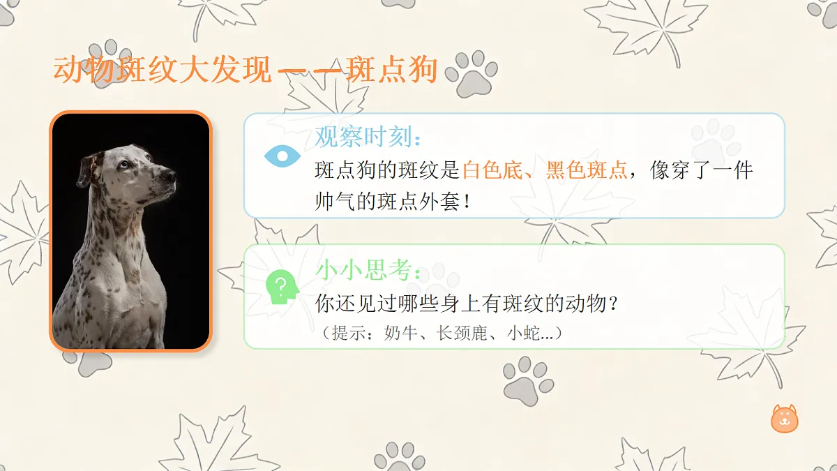 《动物的斑纹》美术教学课件第7页