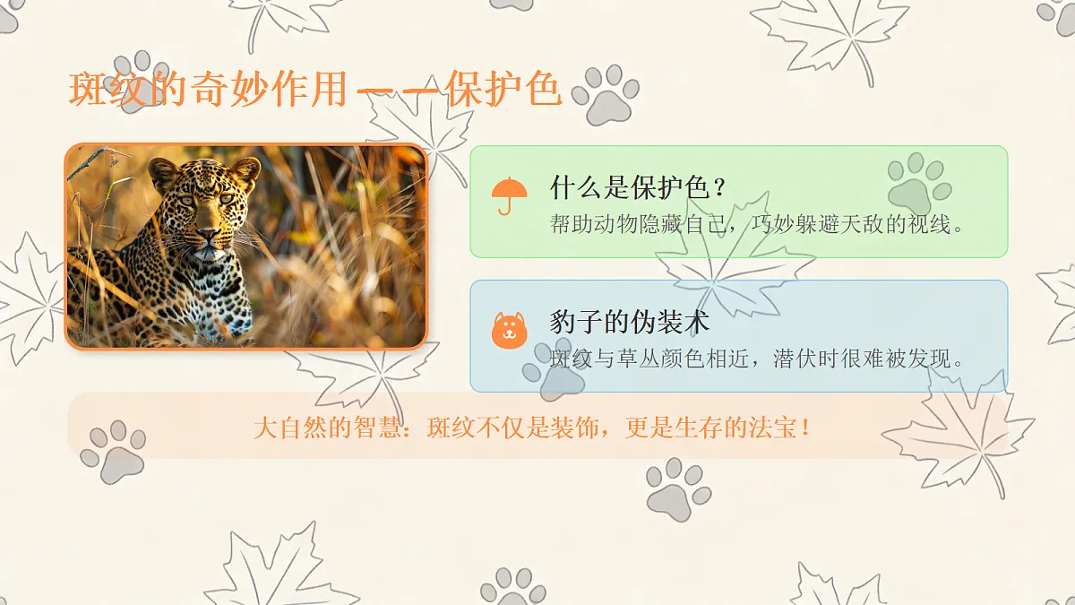《动物的斑纹》美术教学课件第8页