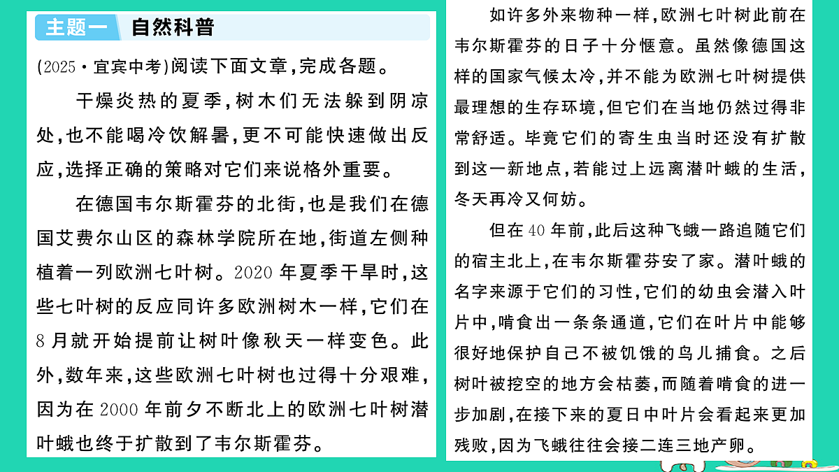 18067092第2页