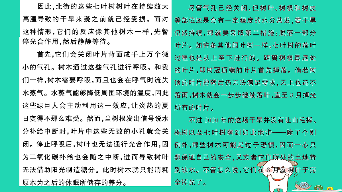 18067092第3页