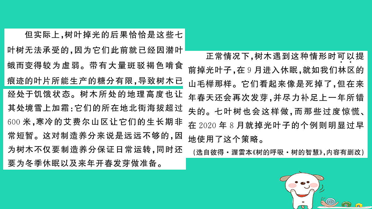 18067092第4页